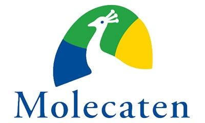 Molecaten